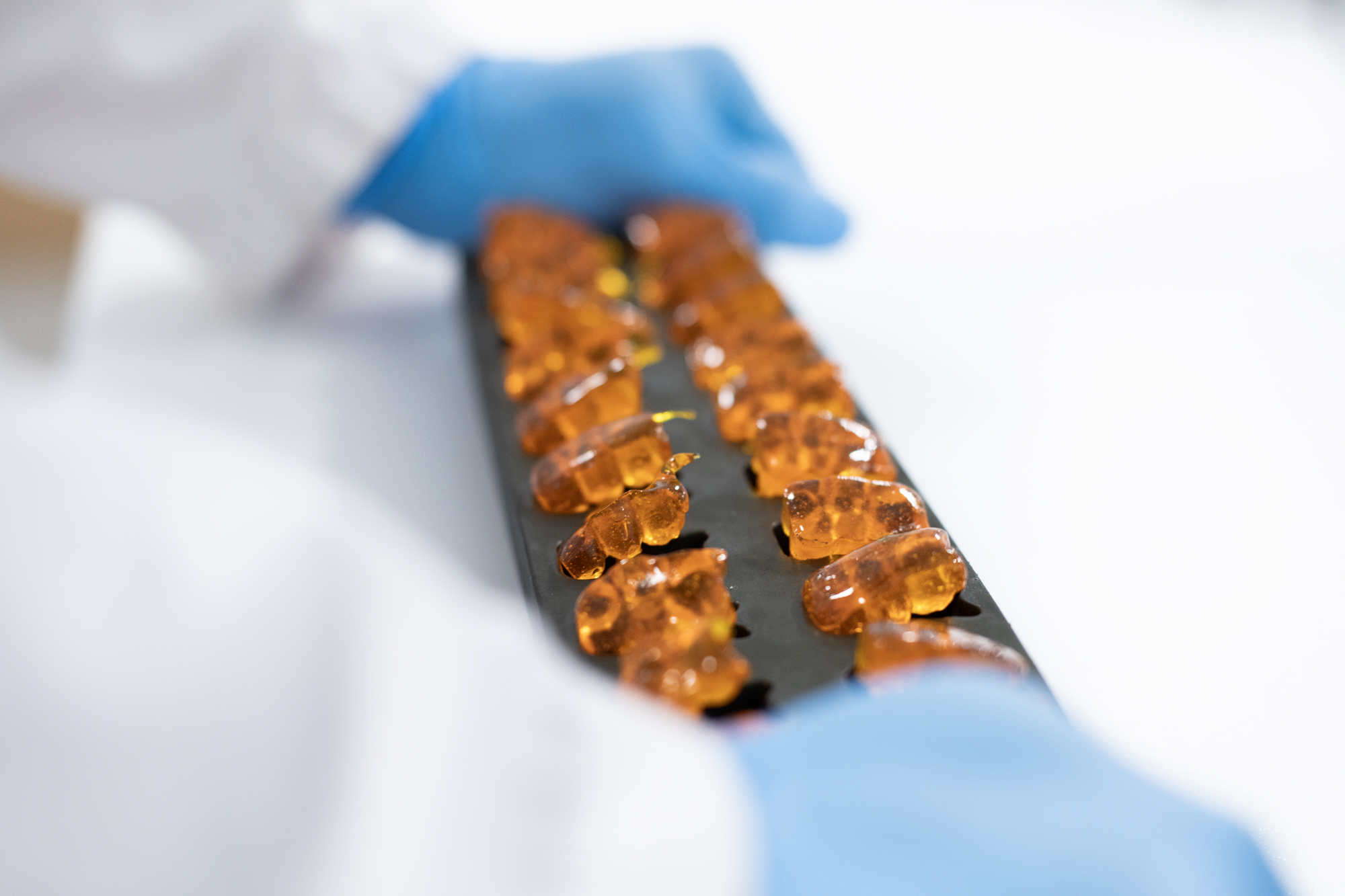 gominolas ashwagandha energía